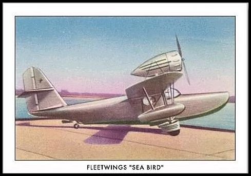30 Fleetwings Sea Bird